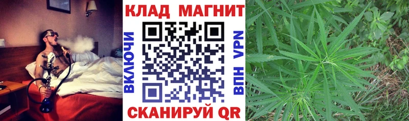 Где купить наркотики Зубцов Бошки Шишки  APVP  ГАШ  КОКАИН 