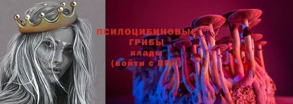 герыч Дмитров