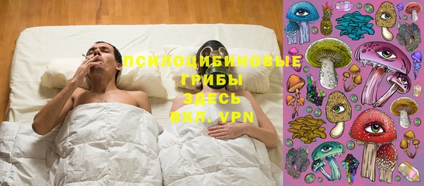 винт Арсеньев