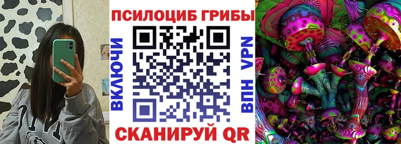 Галлюциногенные грибы Cubensis  площадка Telegram  Зубцов  МЕГА зеркало 